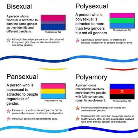 difference between bisexual and polysexual|Polysexual: Meaning and FAQs